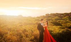 Featured image of post 照片